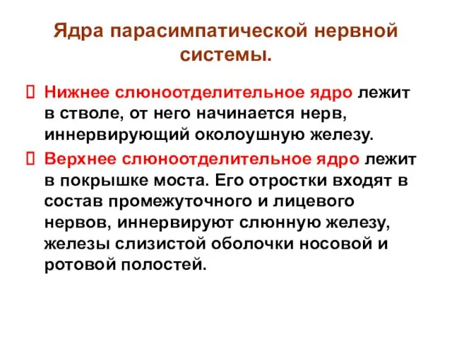 Ядра парасимпатической нервной системы. Нижнее слюноотделительное ядро лежит в стволе,