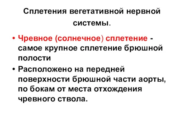 Сплетения вегетативной нервной системы. Чревное (солнечное) сплетение - самое крупное