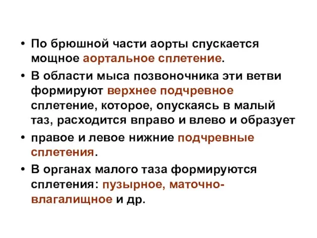 По брюшной части аорты спускается мощное аортальное сплетение. В области