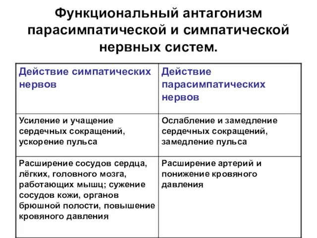 Функциональный антагонизм парасимпатической и симпатической нервных систем.