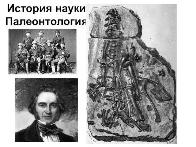 История науки Палеонтология