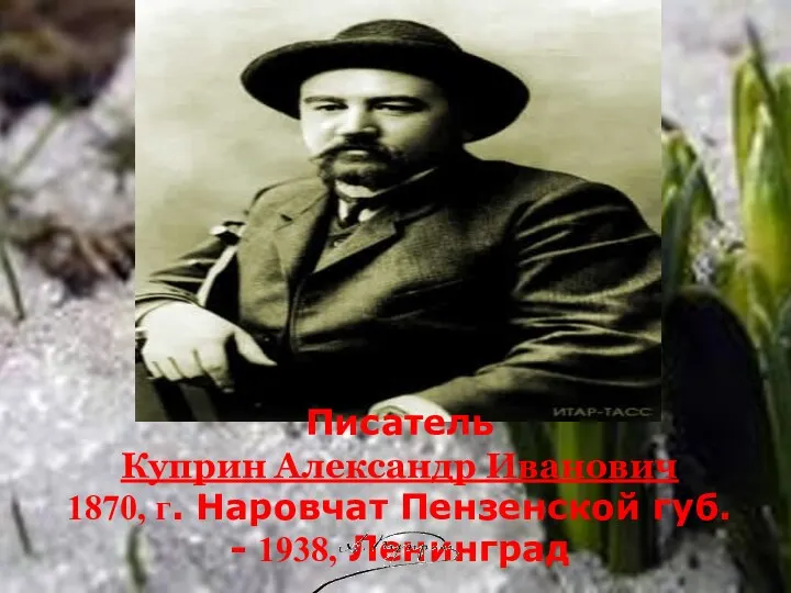 Писатель Куприн Александр Иванович 1870, г. Наровчат Пензенской губ. - 1938, Ленинград