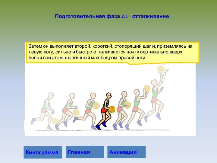 Затем он выполняет второй, короткий, стопорящий шаг и, приземляясь на левую ногу, сильно