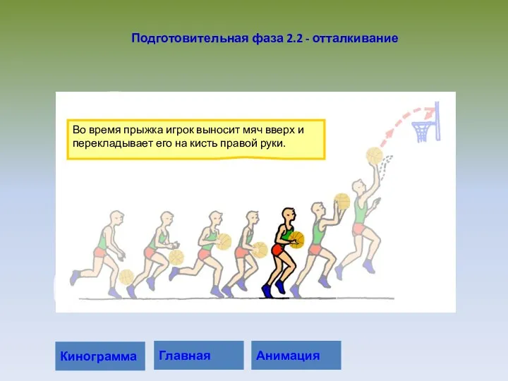 Во время прыжка игрок выносит мяч вверх и перекладывает его