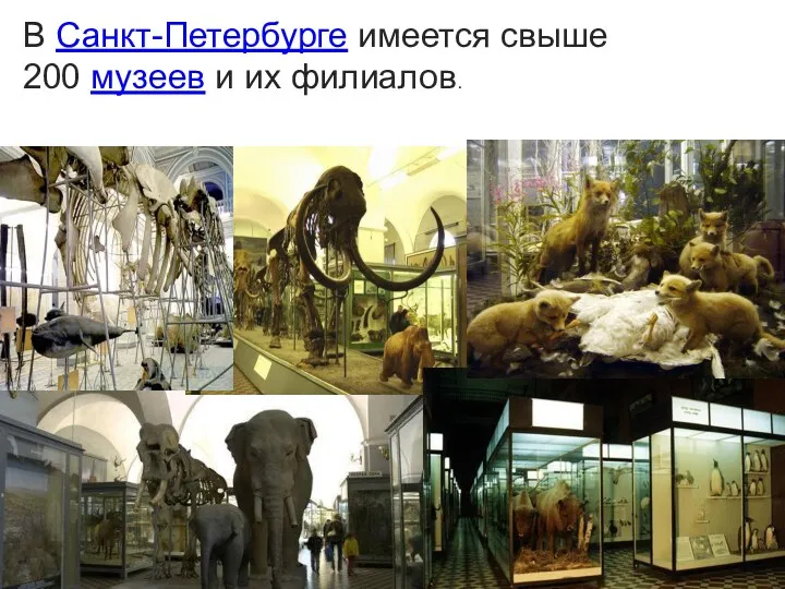 В Санкт-Петербурге имеется свыше 200 музеев и их филиалов.
