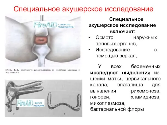 Специальное акушерское исследование Специальное акушерское исследование включает: Осмотр наружных половых