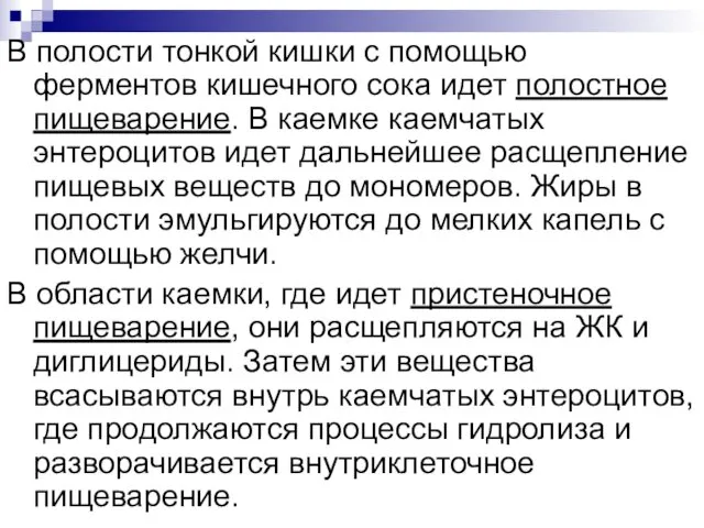 В полости тонкой кишки с помощью ферментов кишечного сока идет полостное пищеварение. В