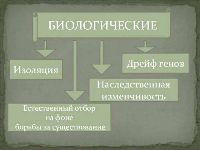 БИОЛОГИЧЕСКИЕ Естественный отбор на фоне борьбы за существование Наследственная изменчивость Дрейф генов Изоляция