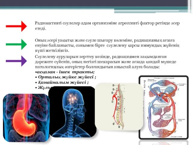 Радиоактивті сәулелер адам организміне агрессивті фактор ретінде әсер етеді. Оның