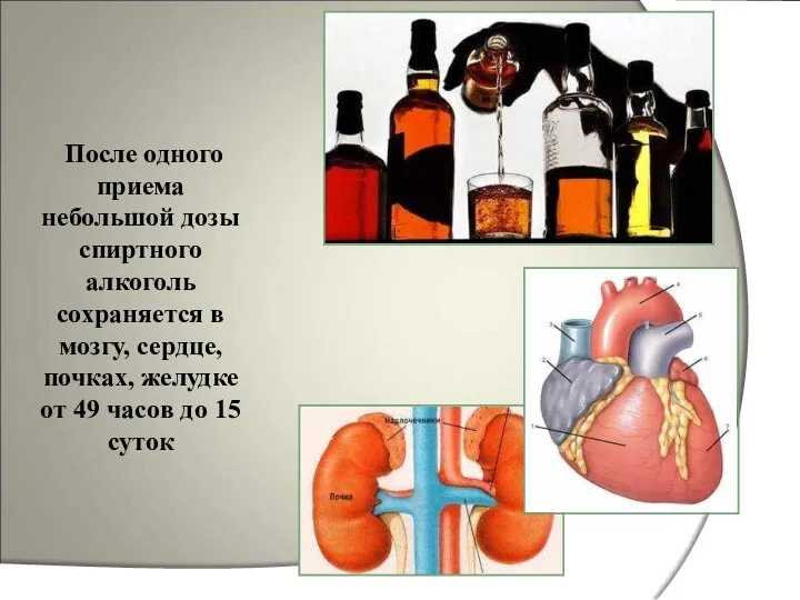 После одного приема небольшой дозы спиртного алкоголь сохраняется в мозгу,