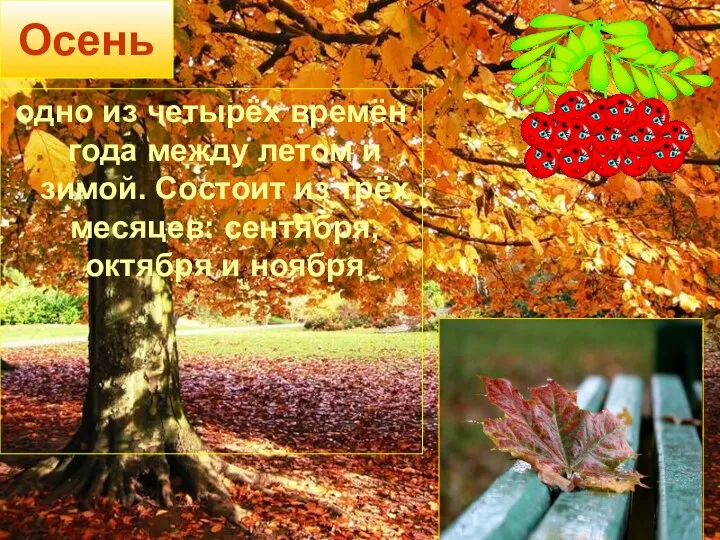 Осень одно из четырёх времён года между летом и зимой. Состоит из трёх