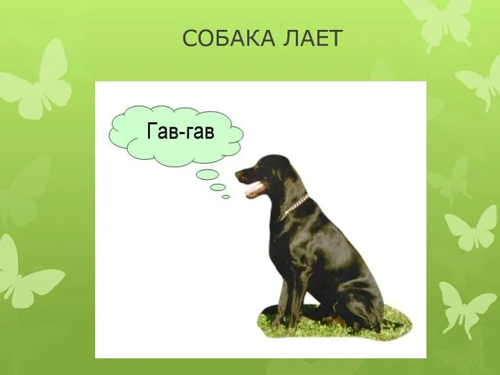 СОБАКА ЛАЕТ