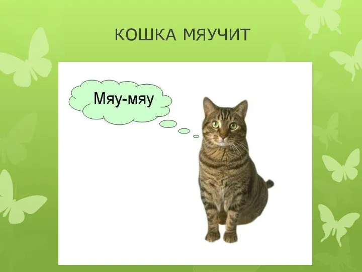 КОШКА МЯУЧИТ