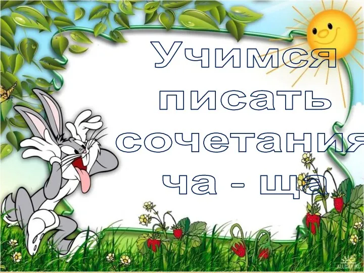 Учимся писать сочетания ча - ща