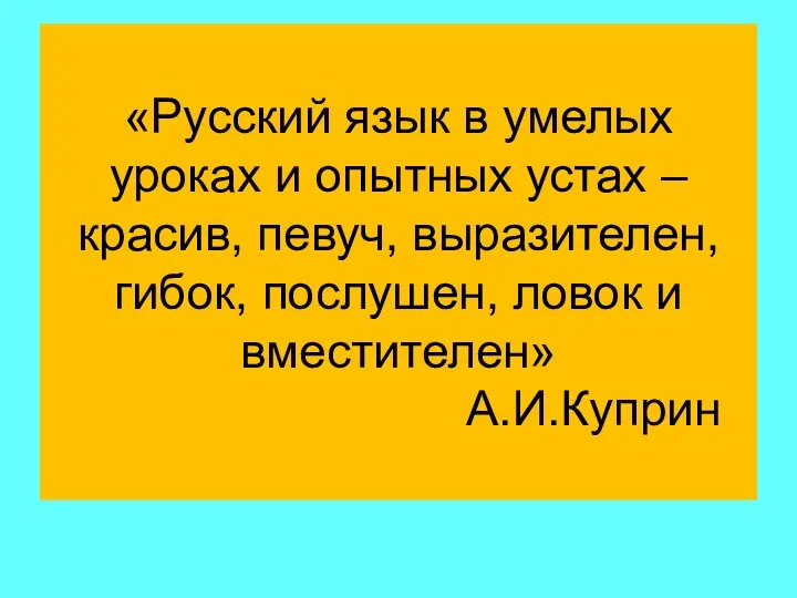 «Русский язык в умелых уроках и опытных устах – красив,