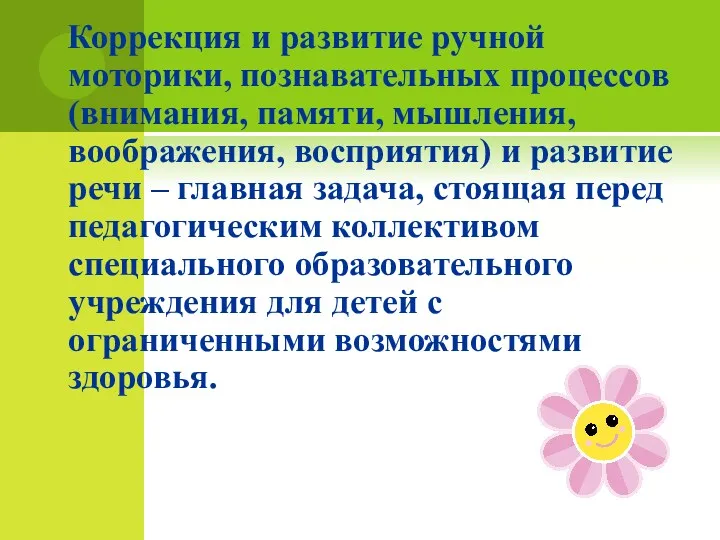 Коррекция и развитие ручной моторики, познавательных процессов (внимания, памяти, мышления,