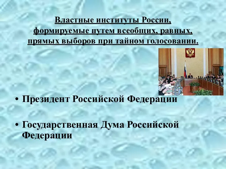 Президент Российской Федерации Государственная Дума Российской Федерации Властные институты России,