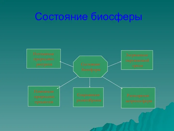 Состояние биосферы Состояние биосферы Истощение природных ресурсов Загрязнение окружающей среды