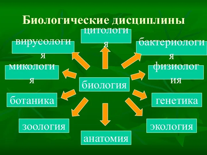 биология Биологические дисциплины ботаника микология бактериология цитология вирусология генетика физиология анатомия экология зоология