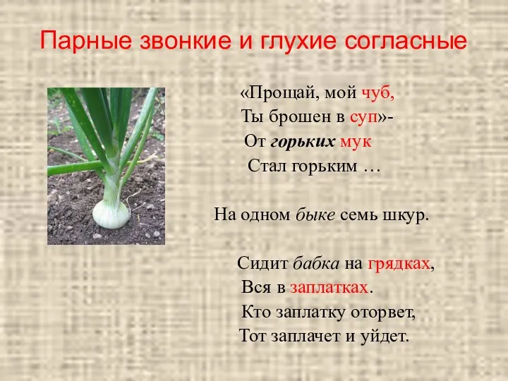 Парные звонкие и глухие согласные «Прощай, мой чуб, Ты брошен в суп»- От