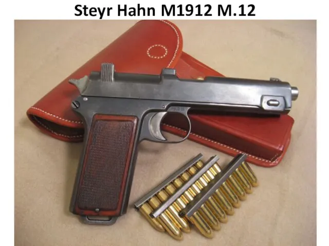 Steyr Hahn M1912 M.12