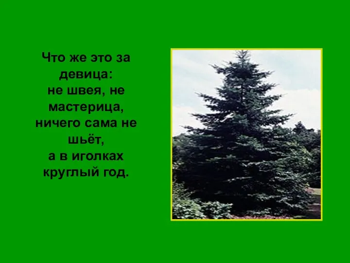 Что же это за девица: не швея, не мастерица, ничего сама не шьёт,