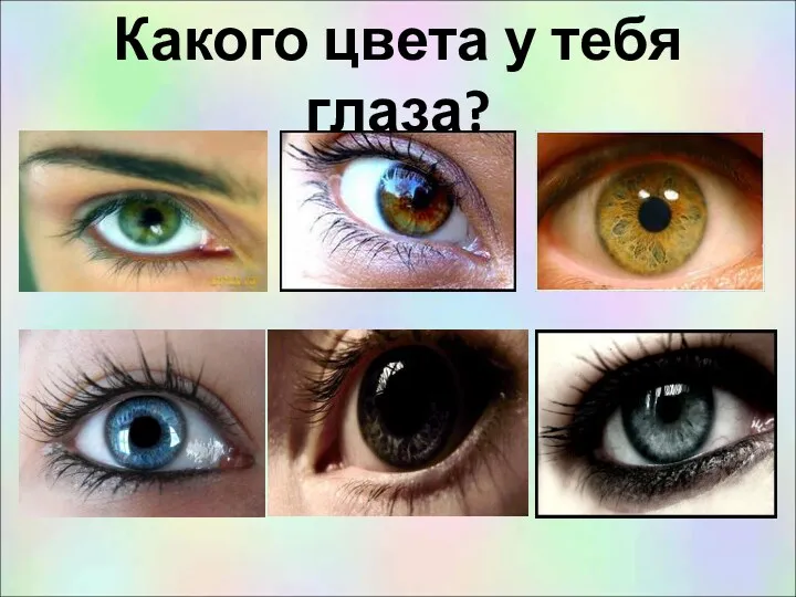 Какого цвета у тебя глаза?