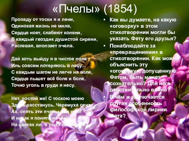 «Пчелы» (1854) Пропаду от тоски я и лени, Одинокая жизнь