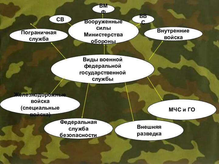 Виды военной федеральной государственной службы Вооруженные силы Министерства обороны СВ