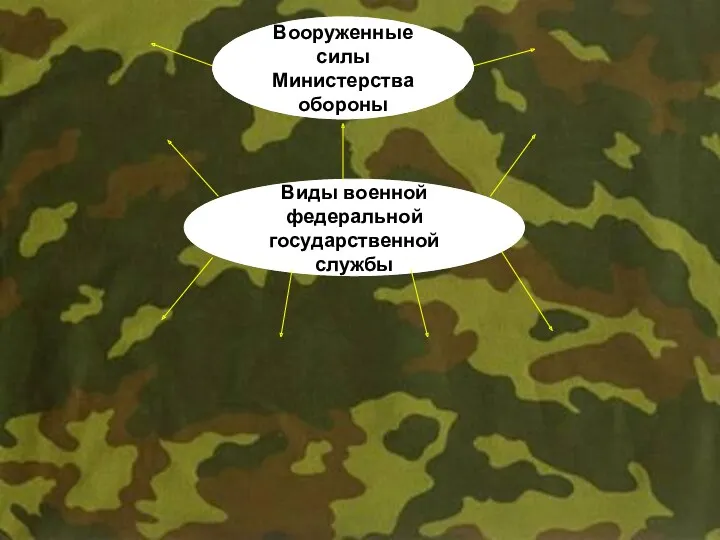 Виды военной федеральной государственной службы Вооруженные силы Министерства обороны