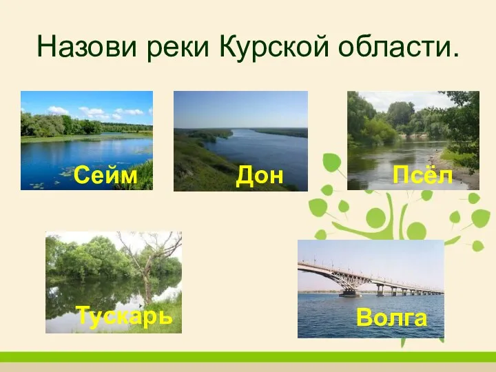 Назови реки Курской области. Ура! Ура! Ура! Сейм Псёл Тускарь Ой! Волга Ой! Дон