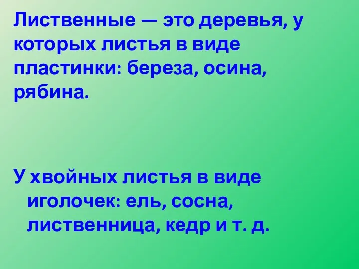 Лиственные — это деревья, у которых листья в виде пластинки: береза, осина, рябина.