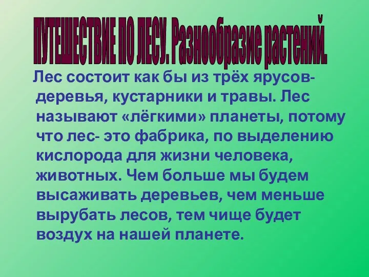 Лес состоит как бы из трёх ярусов- деревья, кустарники и травы. Лес называют