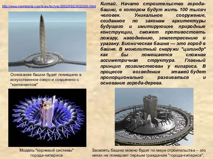 Модель "корневой системы" города-кипариса Основание башни будет помещено в искусственное озеро и соединено