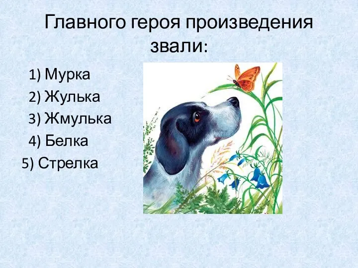 Главного героя произведения звали: 1) Мурка 2) Жулька 3) Жмулька 4) Белка 5) Стрелка