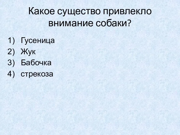 Какое существо привлекло внимание собаки? Гусеница Жук Бабочка стрекоза