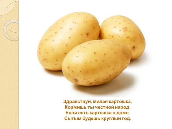 Здравствуй, милая картошка, Кормишь ты честной народ. Если есть картошка в доме, Сытым будешь круглый год.