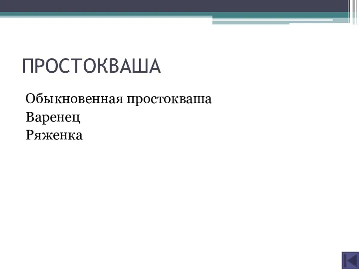 ПРОСТОКВАША Обыкновенная простокваша Варенец Ряженка