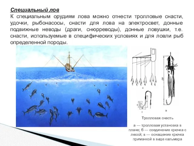 Специальный лов К специальным орудиям лова можно отнести тролловые снасти,