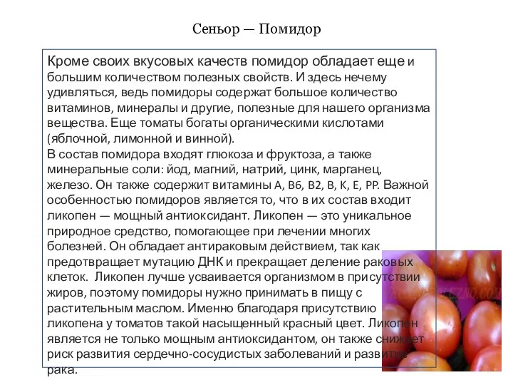 Сеньор — Помидор Кроме своих вкусовых качеств помидор обладает еще