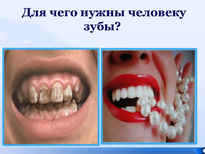 Для чего нужны человеку зубы?