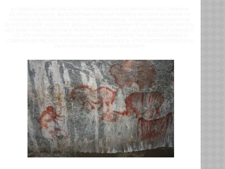 В пещере Шульган-Таш было обнаружено и скопировано три с лишним