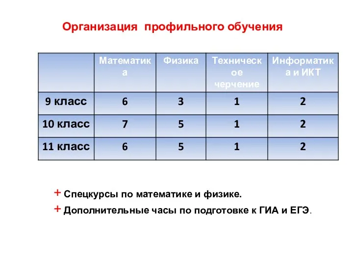 Организация профильного обучения + Спецкурсы по математике и физике. +