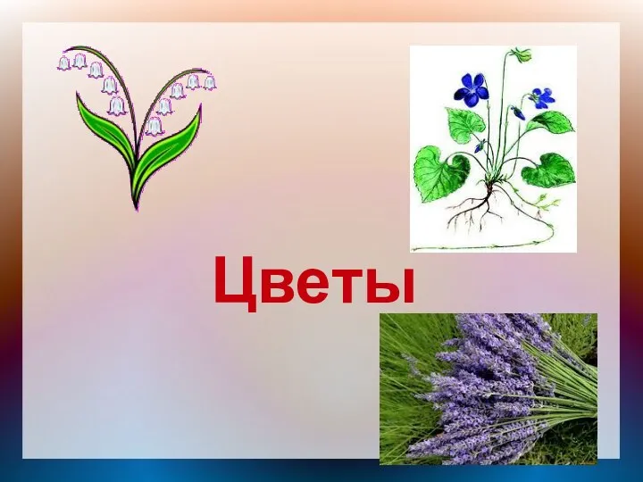 Цветы