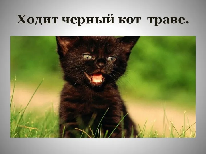 Ходит черный кот траве.