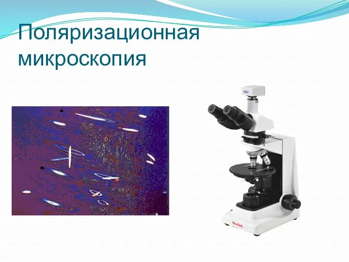 Поляризационная микроскопия