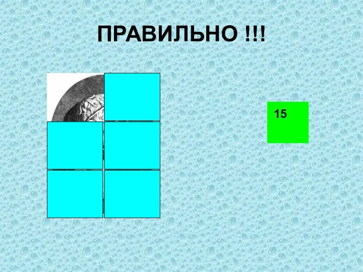 ПРАВИЛЬНО !!! 15