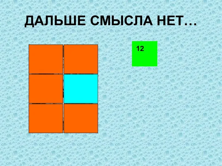 ДАЛЬШЕ СМЫСЛА НЕТ… 12