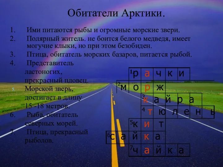 Обитатели Арктики. Ими питаются рыбы и огромные морские звери. Полярный