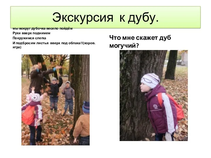 Экскурсия к дубу. мы вокруг дубочка весело пойдём Руки вверх